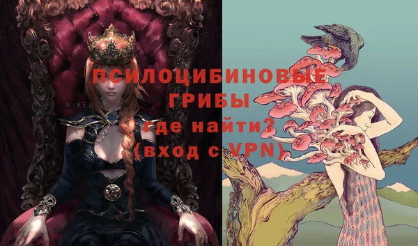 кокаин Краснослободск