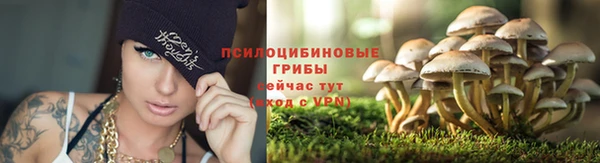 ПСИЛОЦИБИНОВЫЕ ГРИБЫ Красноперекопск