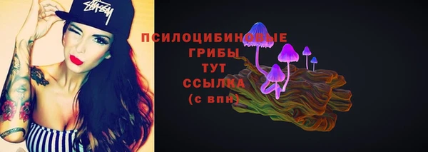 ПСИЛОЦИБИНОВЫЕ ГРИБЫ Красноперекопск
