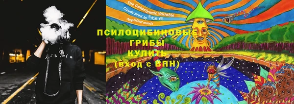 ПСИЛОЦИБИНОВЫЕ ГРИБЫ Красноперекопск