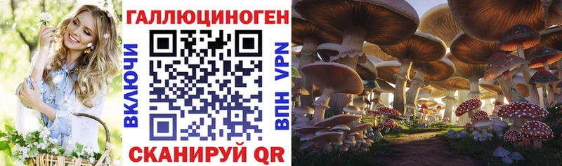 Псилоцибиновые грибы GOLDEN TEACHER  Купить где  Ворсма 